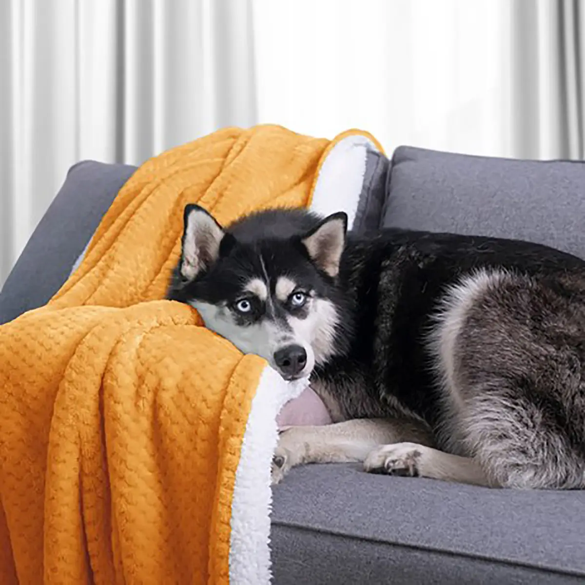 Kuscheldecke Leepy | Orange