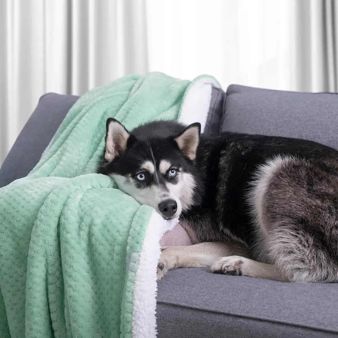 Kuscheldecke Leepy | Grün