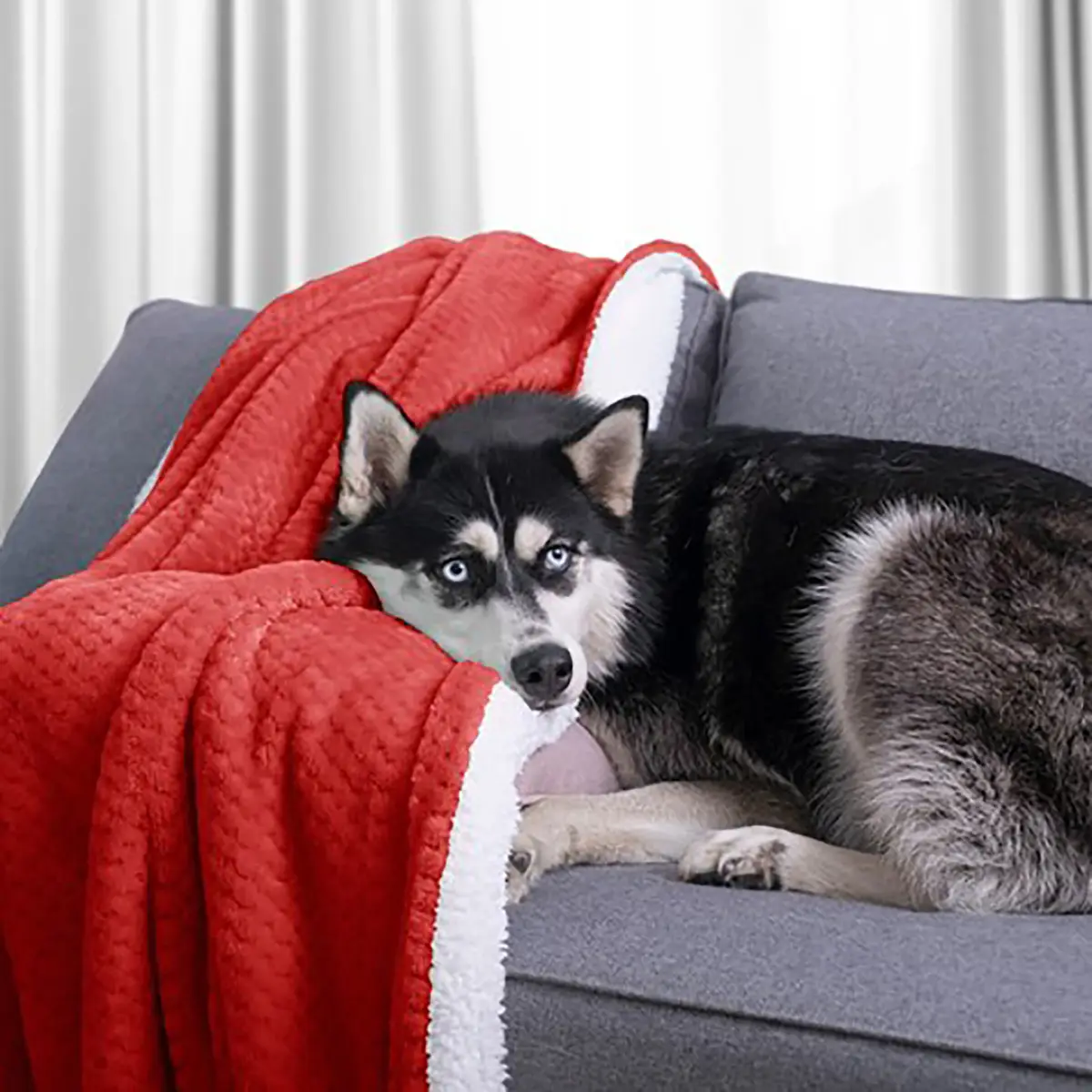 Kuscheldecke Leepy | Rot