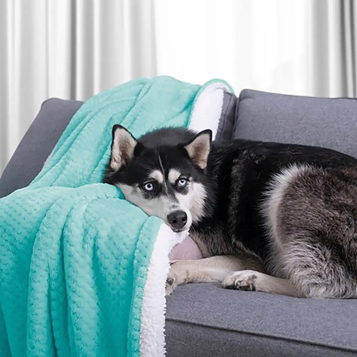Kuscheldecke Leepy | Türkis