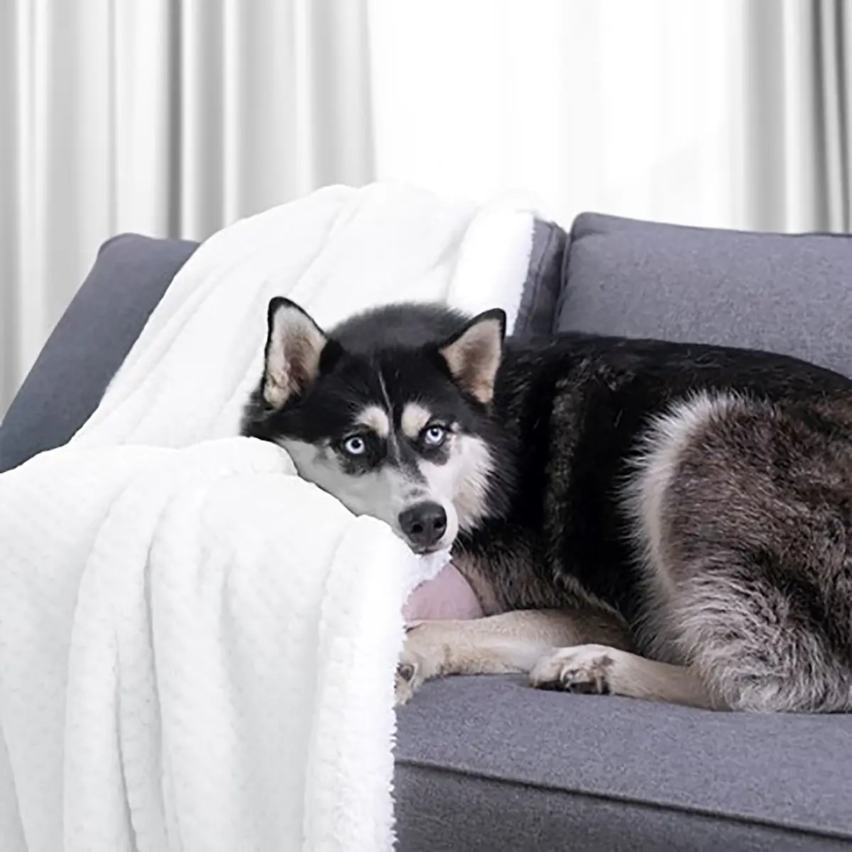 Kuscheldecke Leepy | Weiß