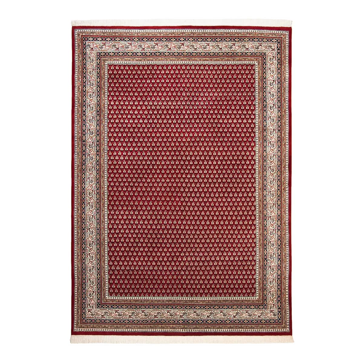 Wollteppich Abbas Meraj Rot 170 x 240cm Wolle | Rot