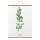 Stoffbild Aquarell Botanik Eukalyptus | Weiß