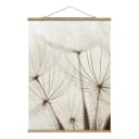 Stoffbild Sanfte Gräser | Beige