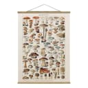 Stoffbild Vintage Lehrtafel Pilze | Beige