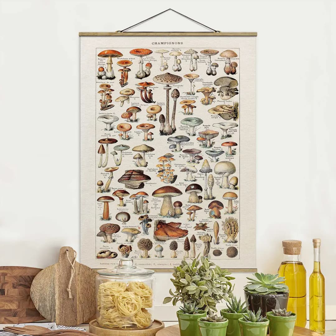 Stoffbild Vintage Lehrtafel Pilze | Beige