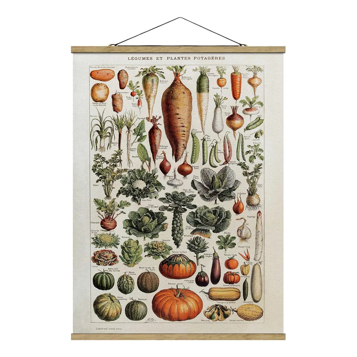 Stoffbild Vintage Lehrtafel Gemüse | Grün
