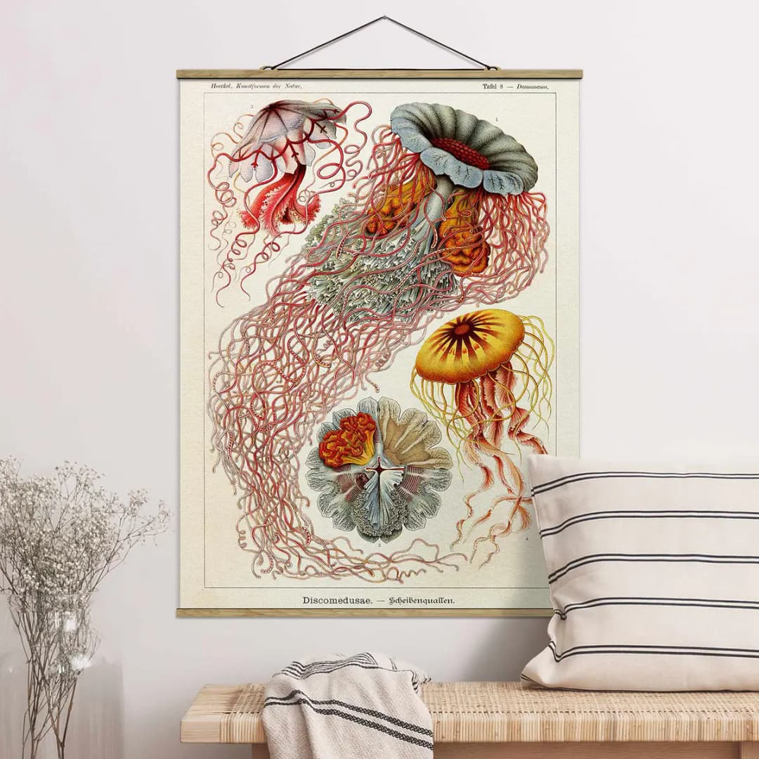 Stoffbild Vintage Lehrtafel Quallen | Rot
