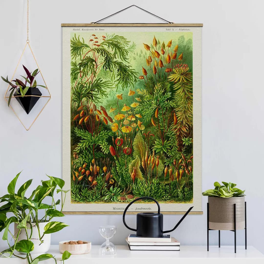 Stoffbild Vintage Lehrtafel Moos | Grün