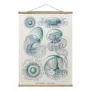 Stoffbild Vintage Lehrtafel Quallen II | Blau