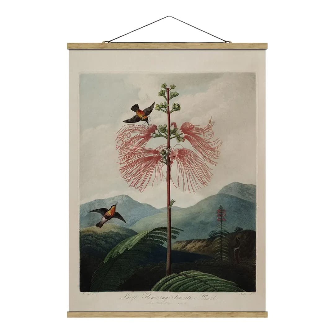 Stoffbild Botanik Blüte & Kolibri | Mehrfarbig