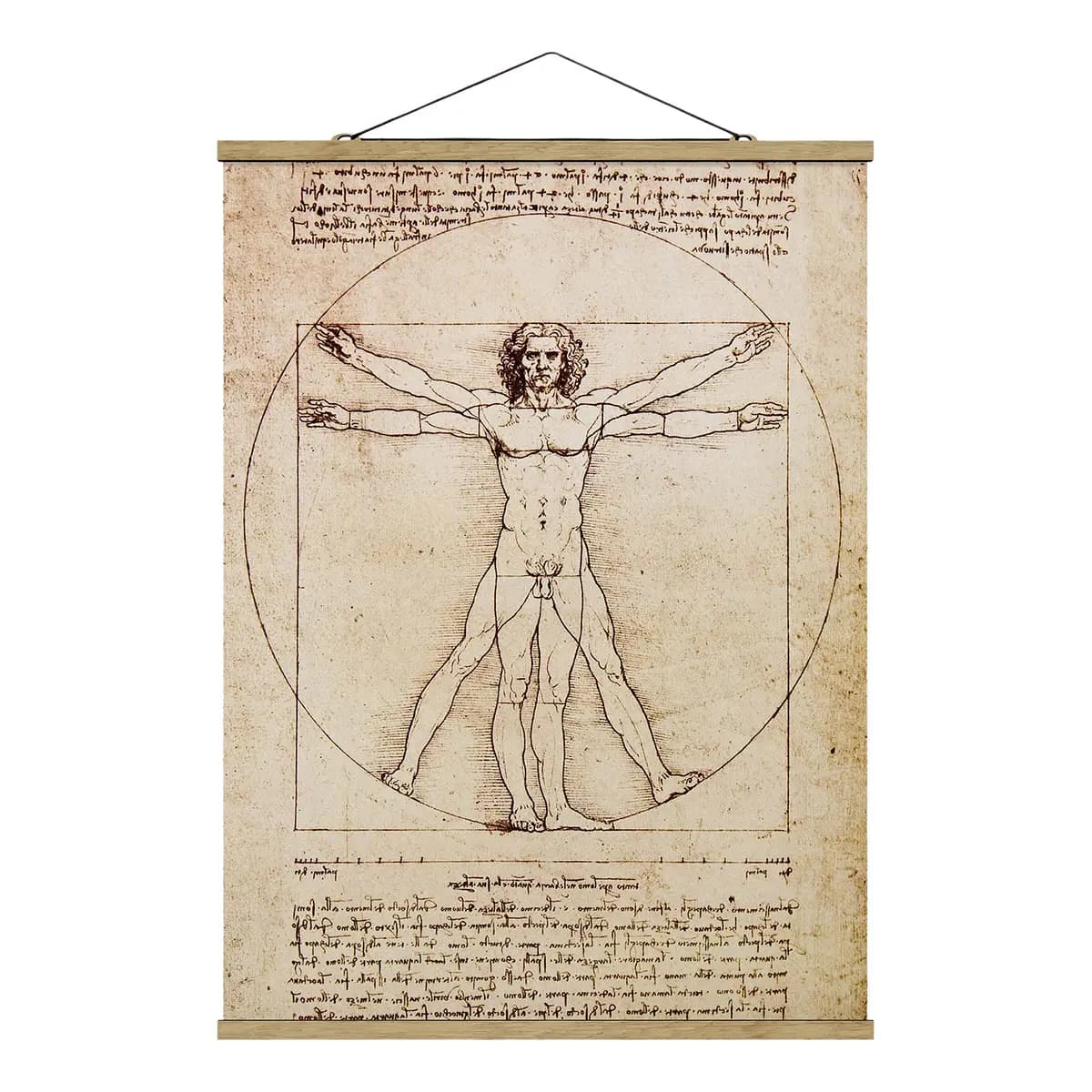 Stoffbild Da Vinci Webstoff Braun | Braun