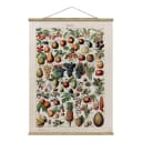 Stoffbild Vintage Lehrtafel Früchte | Mehrfarbig