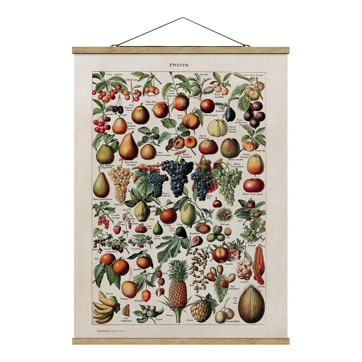 Stoffbild Vintage Lehrtafel Früchte | Mehrfarbig