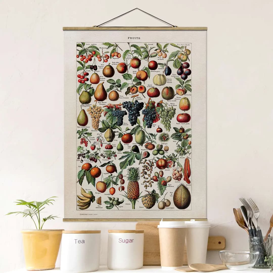 Stoffbild Vintage Lehrtafel Früchte | Mehrfarbig