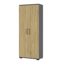 Aktenschrank GW-Profi 2.0 III | Holztöne