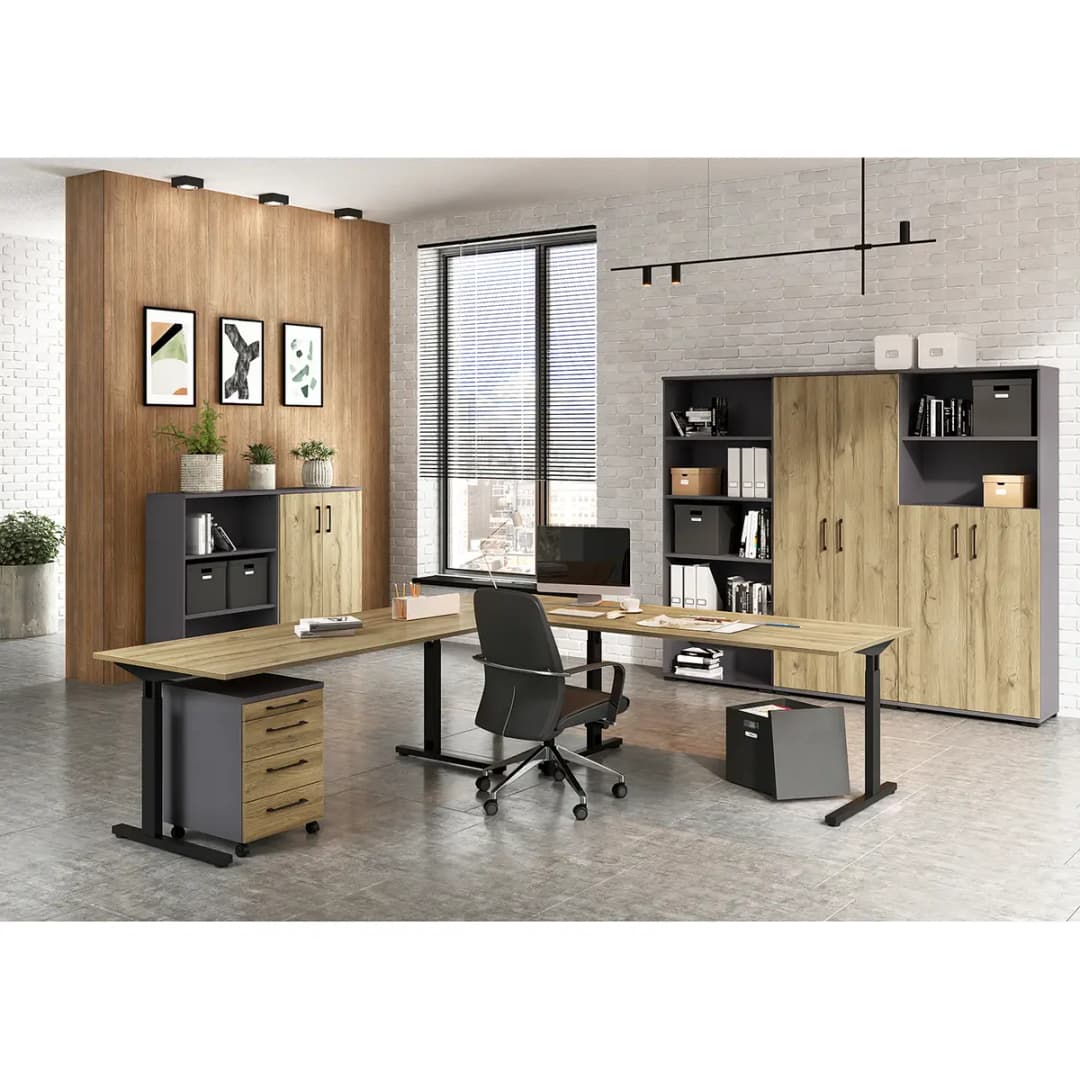 Aktenschrank GW-Profi 2.0 III | Holztöne