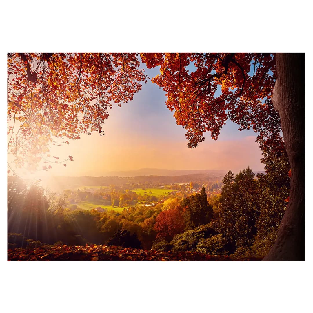 Vlies Fototapete Autumn Delight | Braun