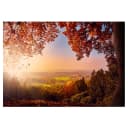 Vlies Fototapete Autumn Delight | Braun