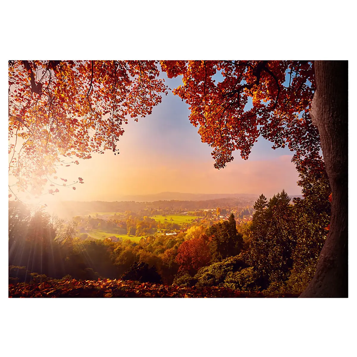 Vlies Fototapete Autumn Delight | Braun