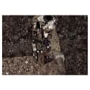 Fototapete Klimt Recalling Tenderness | Braun