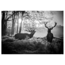 Vlies Fototapete Deers in the Morning | Schwarz