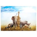 Vlies Fototapete Fauna of Africa | Mehrfarbig