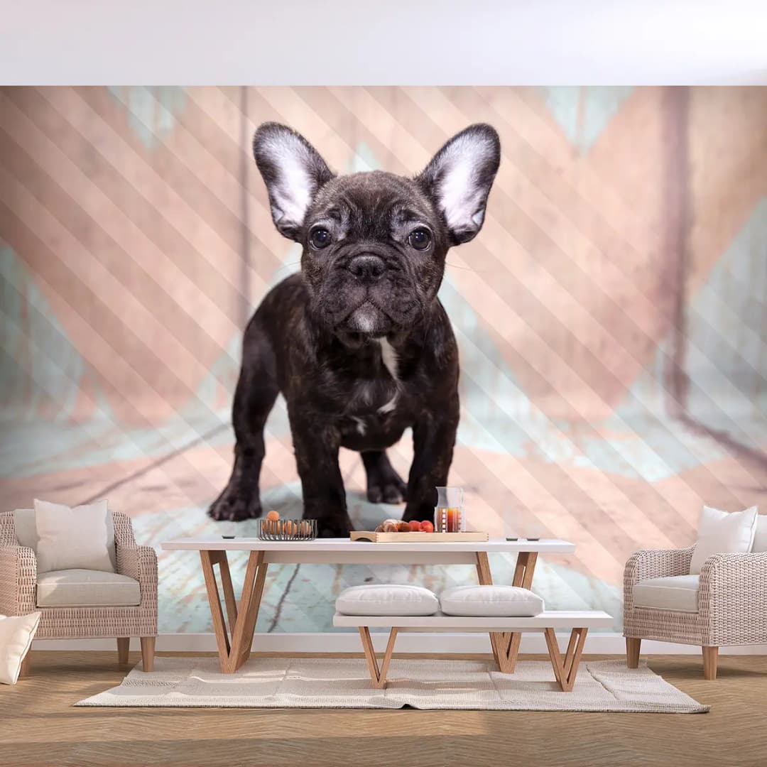Vlies Fototapete French Bulldog | Pink