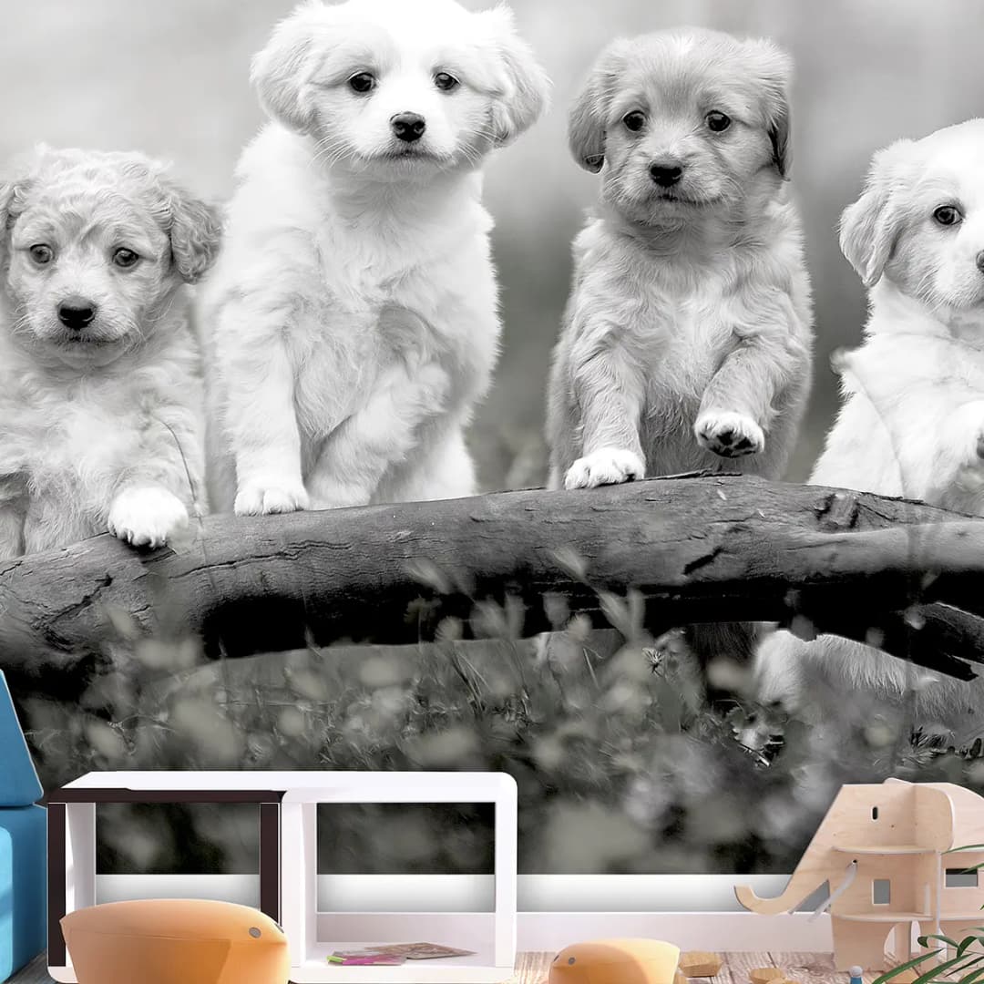 Vlies Fototapete Four Puppies | Mehrfarbig