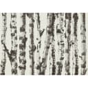 Vlies Fototapete Stately Birches | Grau