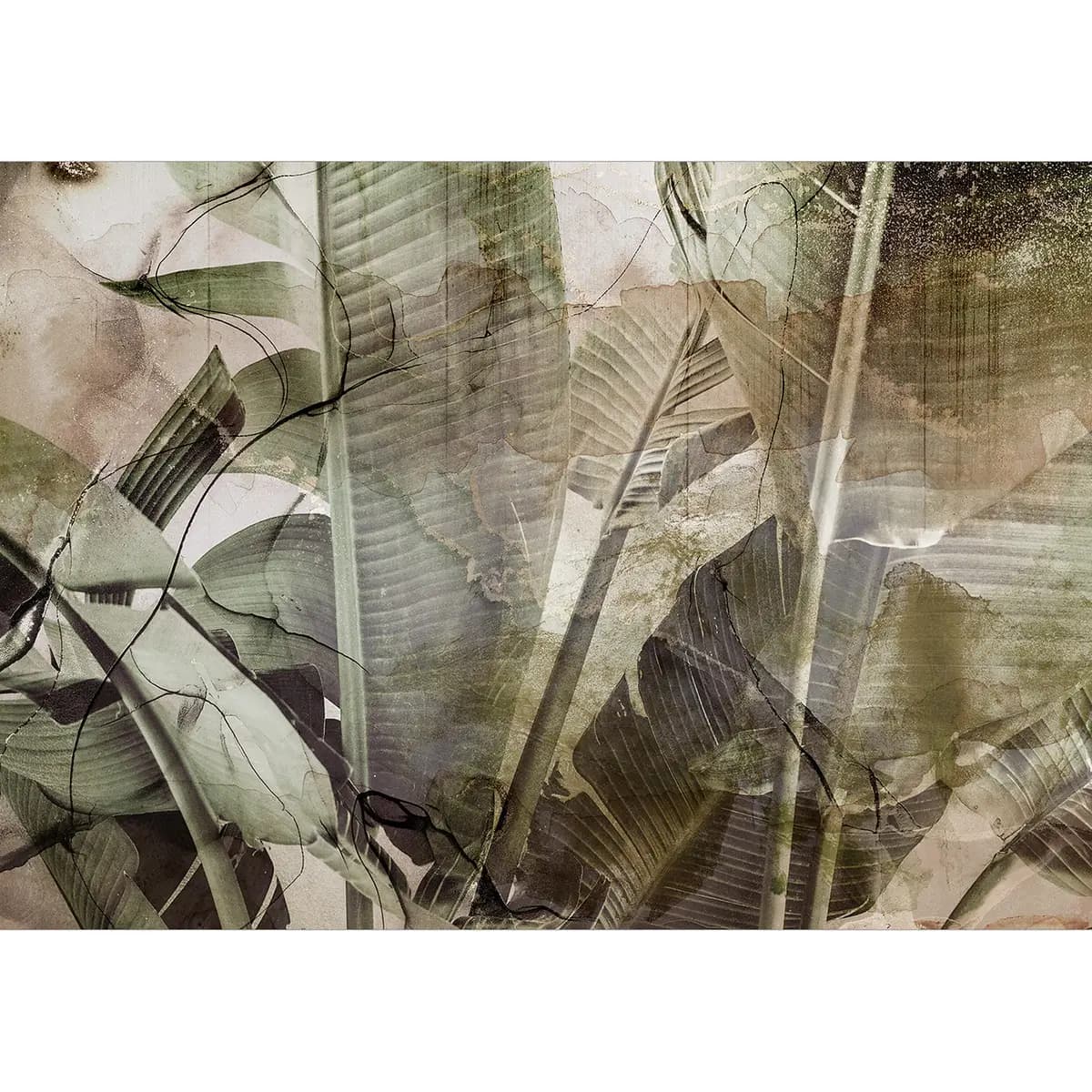 Vlies Fototapete Banana Jungle | Grün