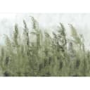 Vlies Fototapete Tall Grasses | Grün