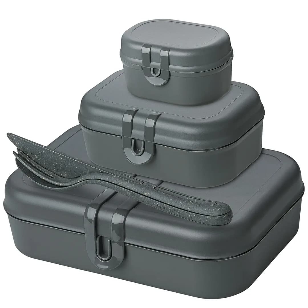 Lunchbox-Set Pascal Ready | Grau