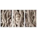 Wandbild Meditations Tree | Braun