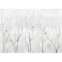 Fototapete Winter Forest | Grau
