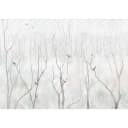Fototapete Winter Forest | Grau