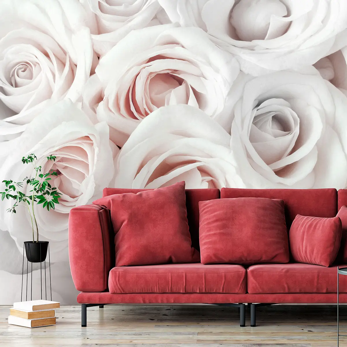Fototapete Satin Rose | Weiß