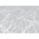 Fototapete White Trees | Grau