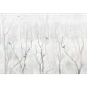 Fototapete Winter Forest | Grau