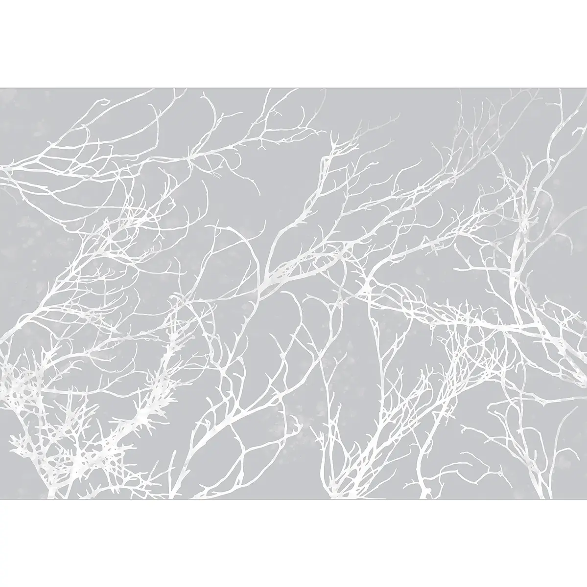 Fototapete White Trees | Grau
