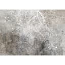 Fototapete Clear Branching | Grau