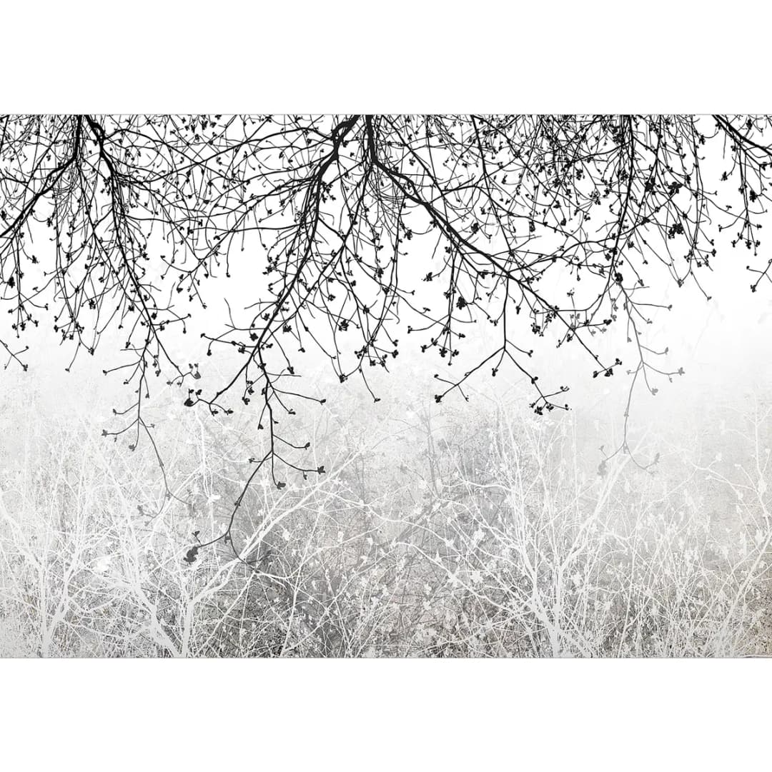 Fototapete Natural Brightness | Grau