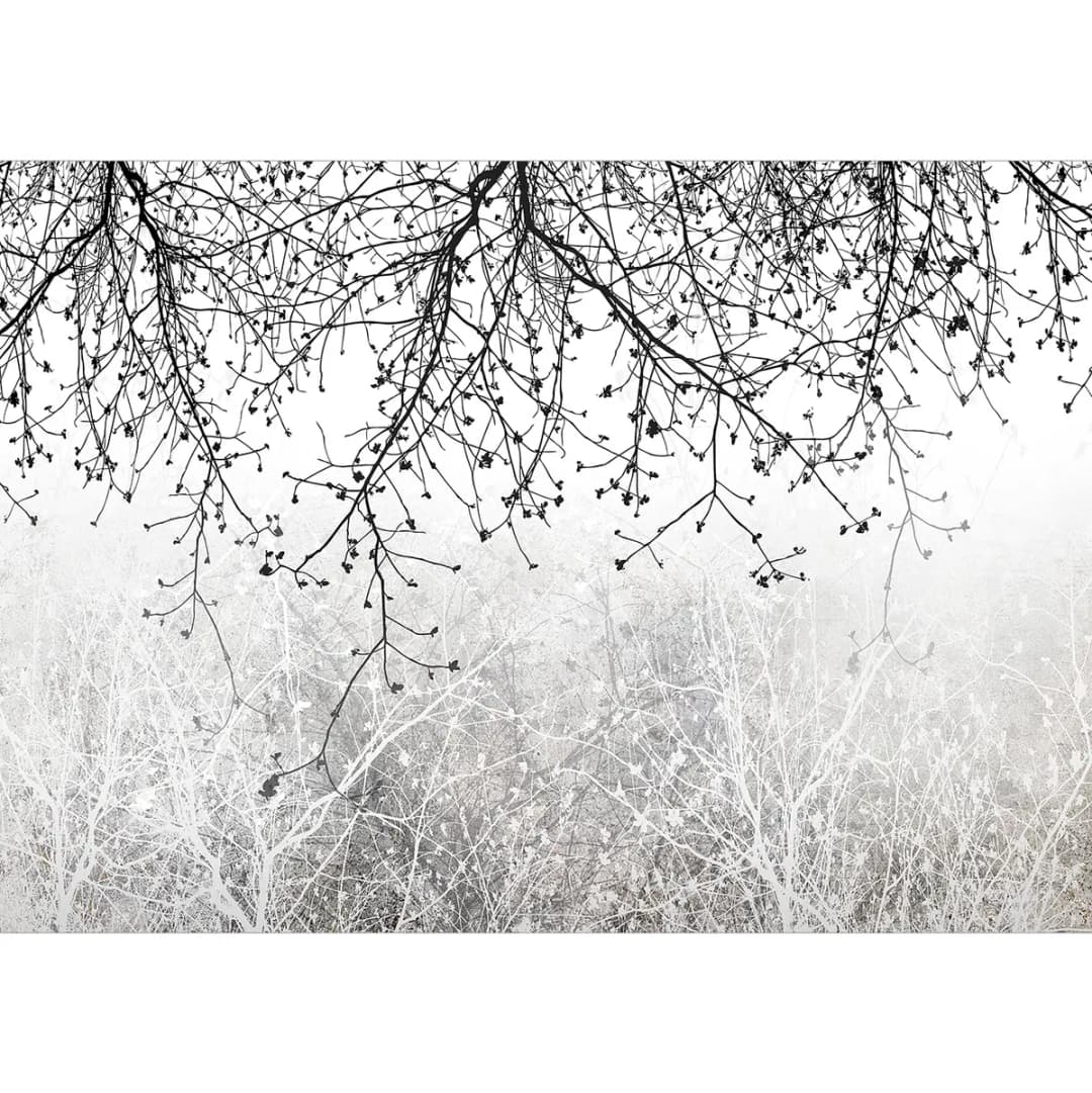 Fototapete Natural Brightness | Grau