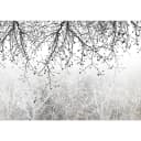 Fototapete Natural Brightness | Grau