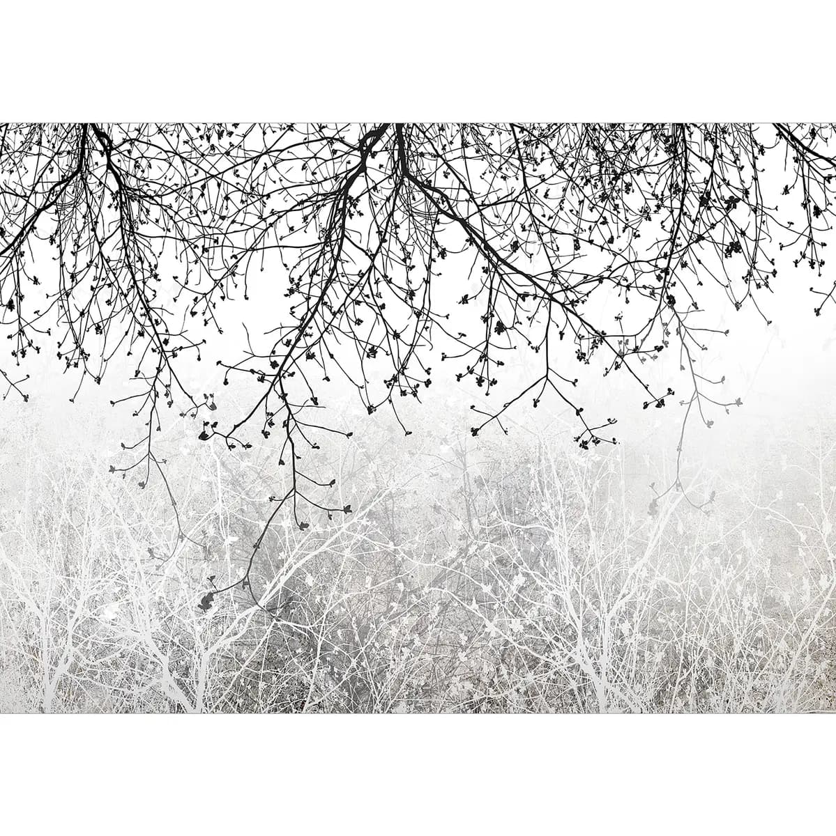 Fototapete Natural Brightness | Grau