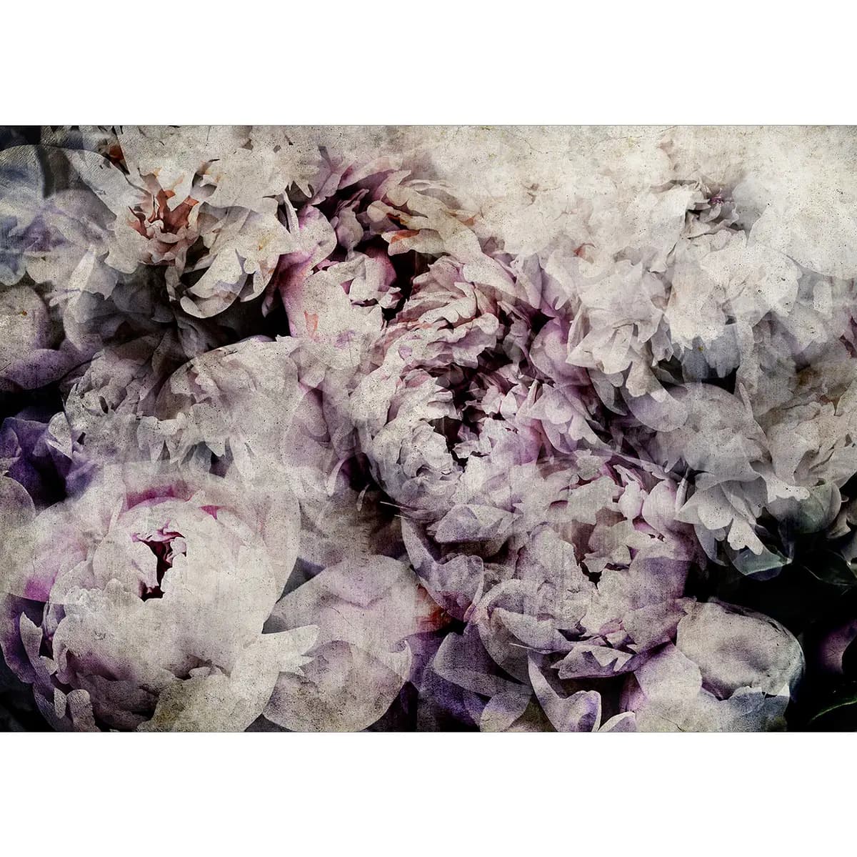 Fototapete Home Flowerbed | Grau