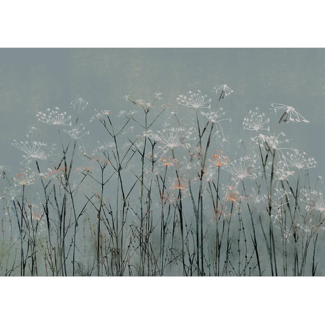 Fototapete Garlic Flowers | Blau