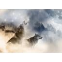 Fototapete Pack | Grau