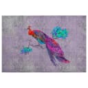 Leinwandbild Strauß Peacock | Mehrfarbig