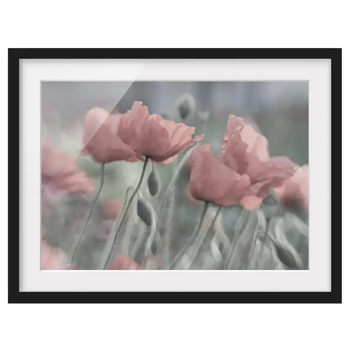 Bild Malerische Mohnblumen II | Pink